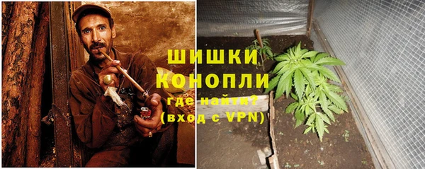 экстази Заводоуковск