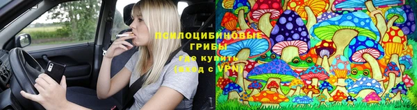 экстази Заводоуковск