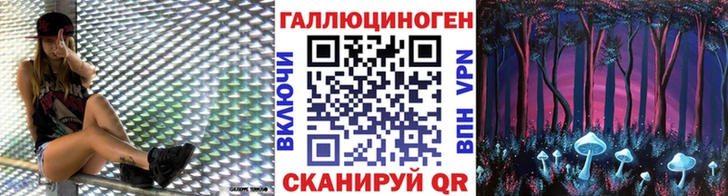 Купить где  Приволжский  Галлюциногенные грибы Psilocybe 